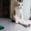 ilyha_000