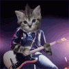 Rock Cat