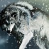 WoLfeR