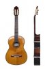 newguitar2019