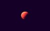y.moon