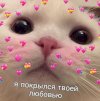 emillygukas