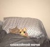 добрый чел