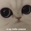 Тимофеюшка