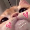 Dari_da