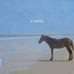 Путін хуйло