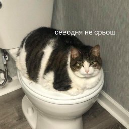 forgoth