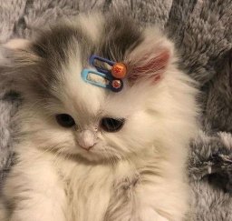 Нервы топ💗💗💗