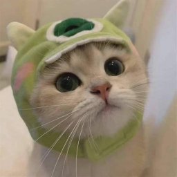 Бублик_
