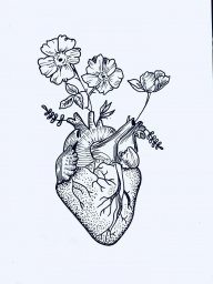 Corazon