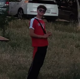 Likt