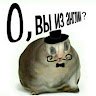 kondr0