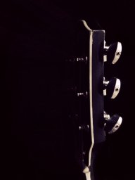 Zam