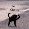 Котик Компотик