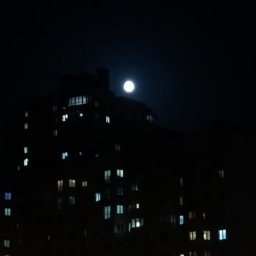 Бездари