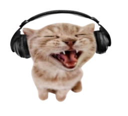 dourovv