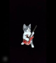 🔥Guitar🎸