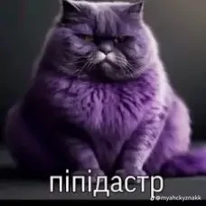 Vladislavvvvvvvv