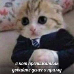 Yarik_gutar
