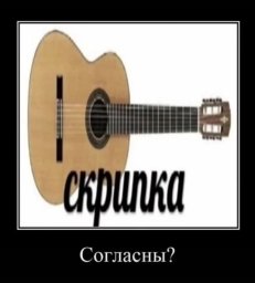 Dassskir