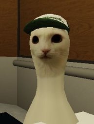 turfy