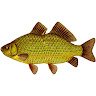 Kararasik