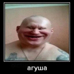 штрімфля