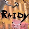 Raidy