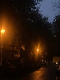 Крестовидная