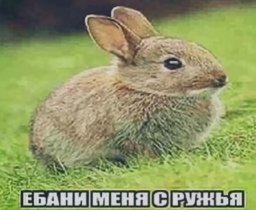 Ирисковая_92