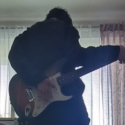 mullet