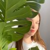 Dasha Mist