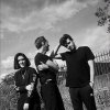 The XX