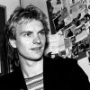 Sting