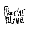 После Шума