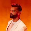 Ricky Martin