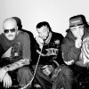 Club Dogo