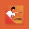 Usman Ginting