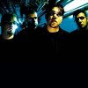 Spineshank
