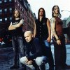 Disturbed
