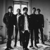 Foals