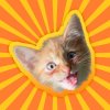 Simbachka