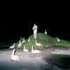 Jens Lekman