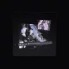 tet x kvli
