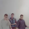 арт-группа авокадо