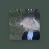 никудыкина