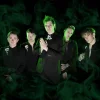 The Funeral Portrait