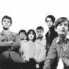Pulp