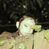 SHANNi