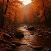 Creekwater Flows